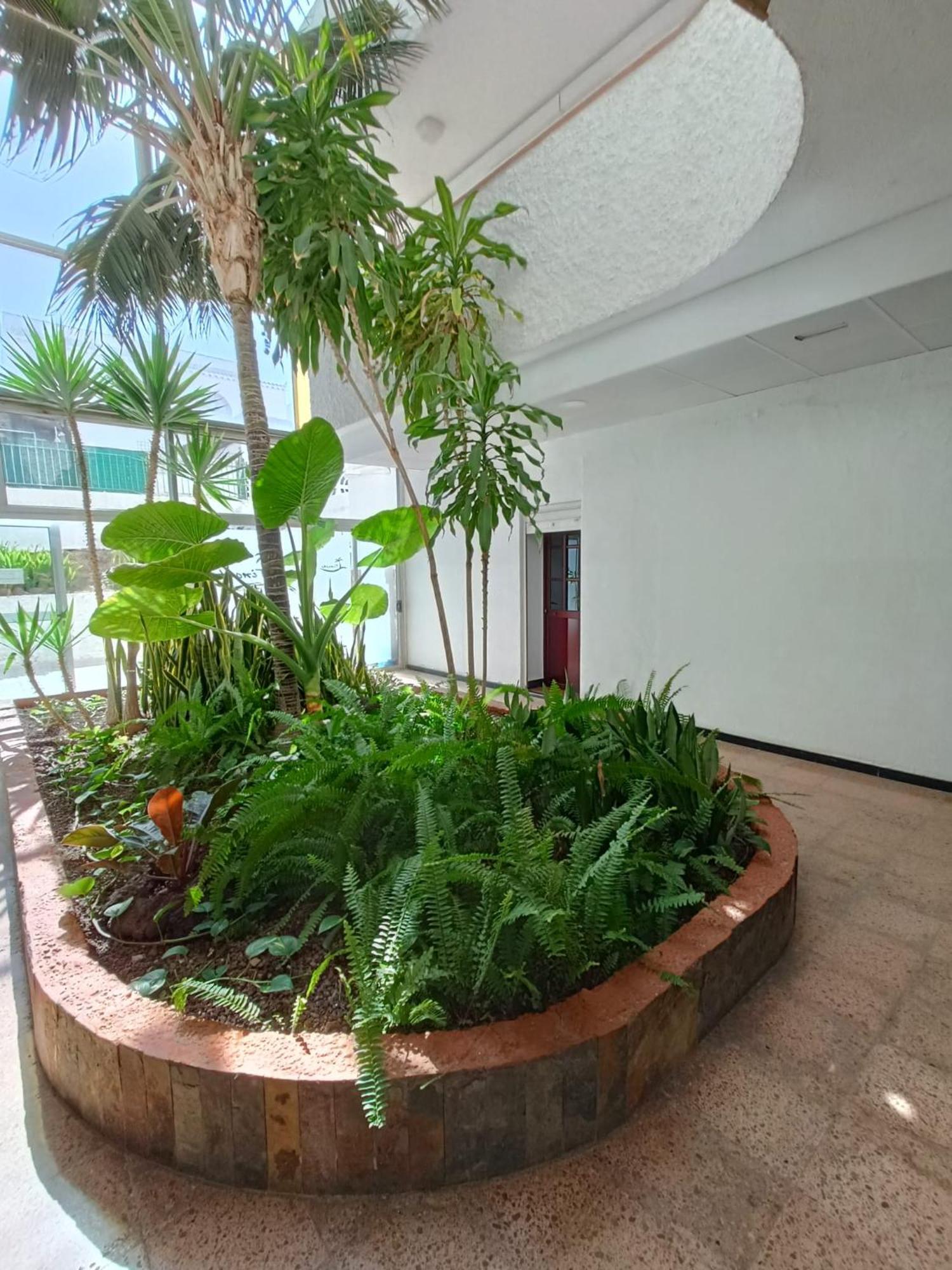Appartement Playa del Inglés 5 min walk from Yumbo! 512 à Maspalomas  Extérieur photo